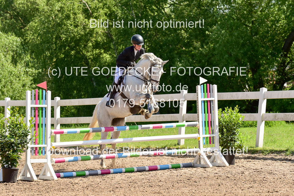 260520---Springpferde-A--_028.jpg