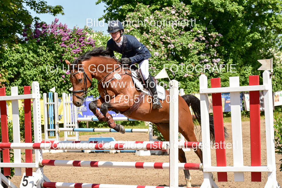 260520---Springpferde-A--_029.jpg