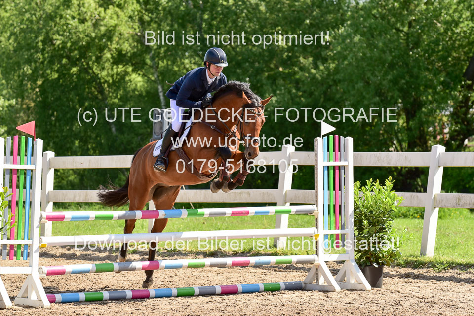 260520---Springpferde-A--_031.jpg