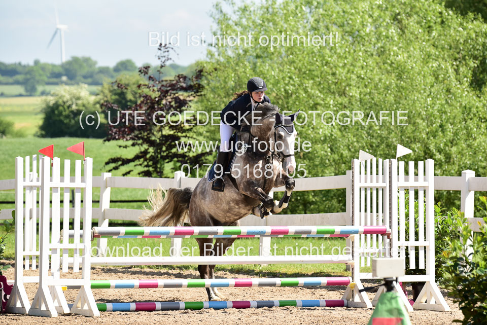 260520---Springpferde-A--_032.jpg