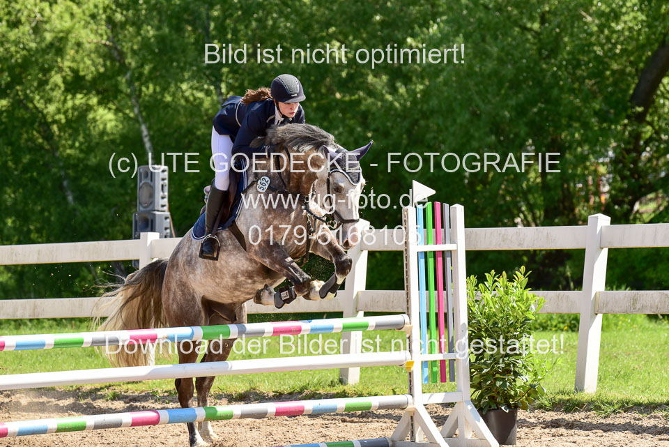 260520---Springpferde-A--_033.jpg