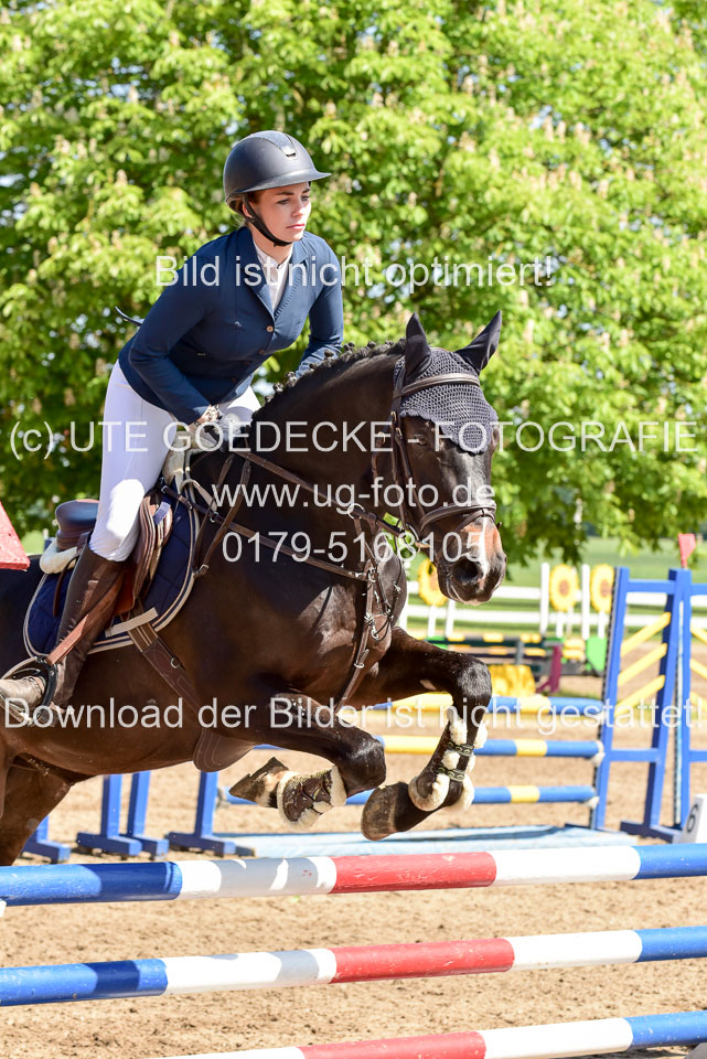 260520---Springpferde-A--_034.jpg