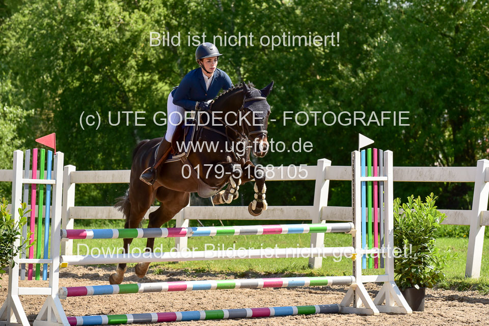 260520---Springpferde-A--_037.jpg