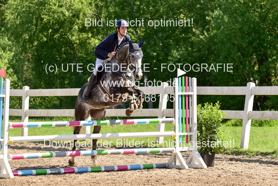 260520---Springpferde-A--_040.jpg
