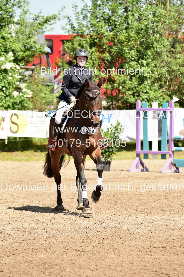 260520---Springpferde-A--_041.jpg
