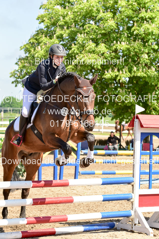 260520---Springpferde-A--_042.jpg