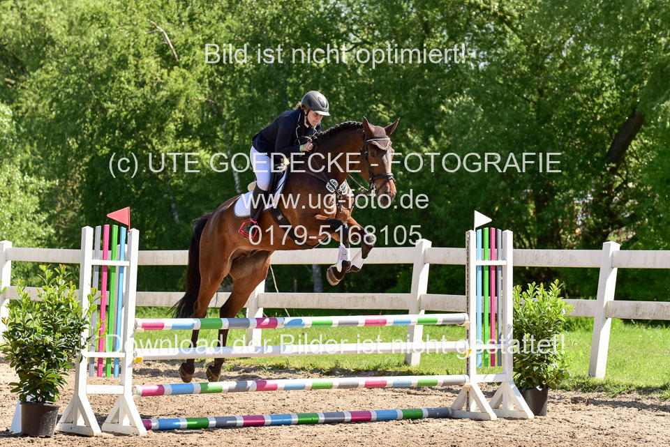 260520---Springpferde-A--_045.jpg