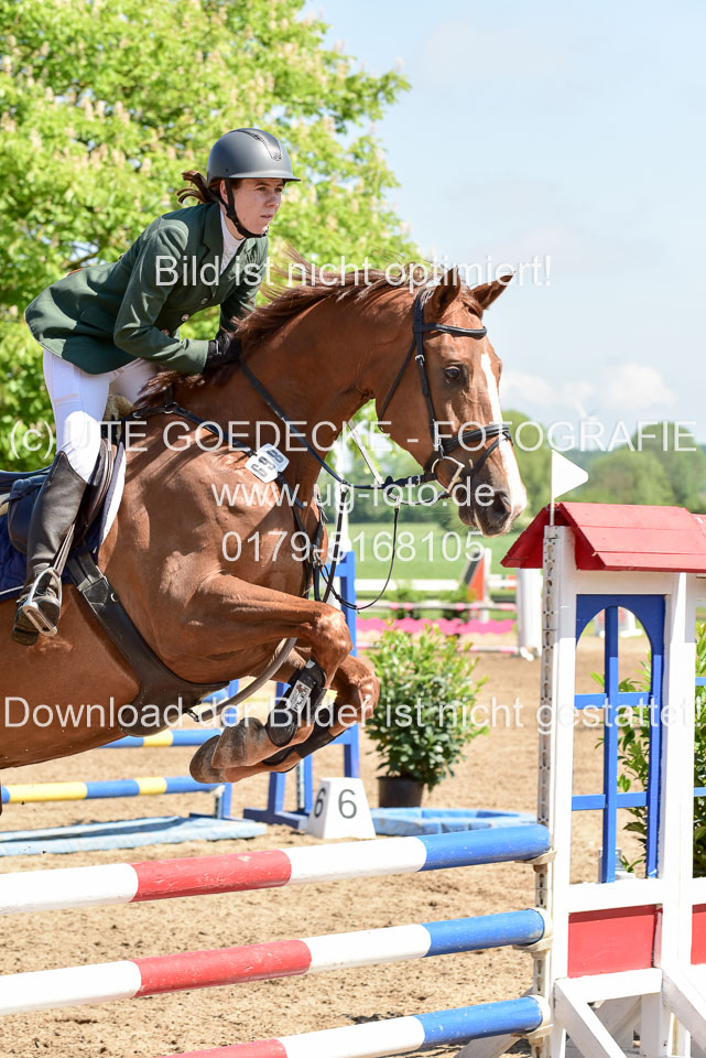 260520---Springpferde-A--_047.jpg