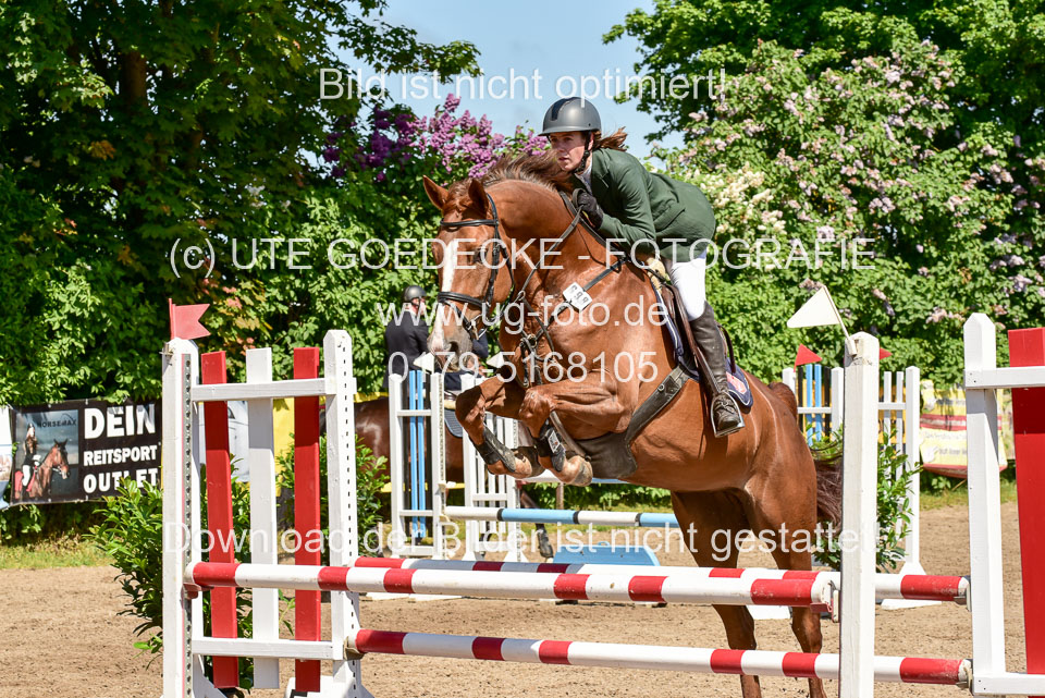 260520---Springpferde-A--_048.jpg