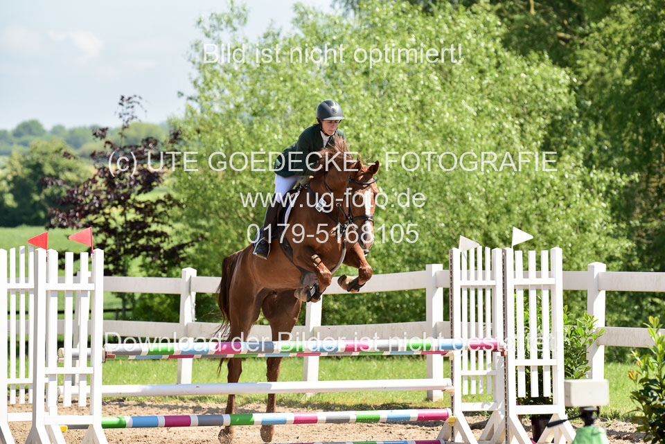 260520---Springpferde-A--_049.jpg