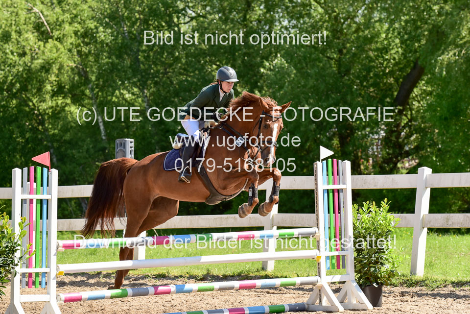 260520---Springpferde-A--_050.jpg