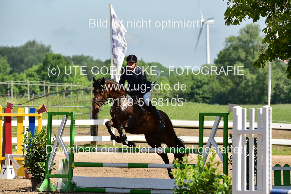 260520---Springpferde-A--_051.jpg