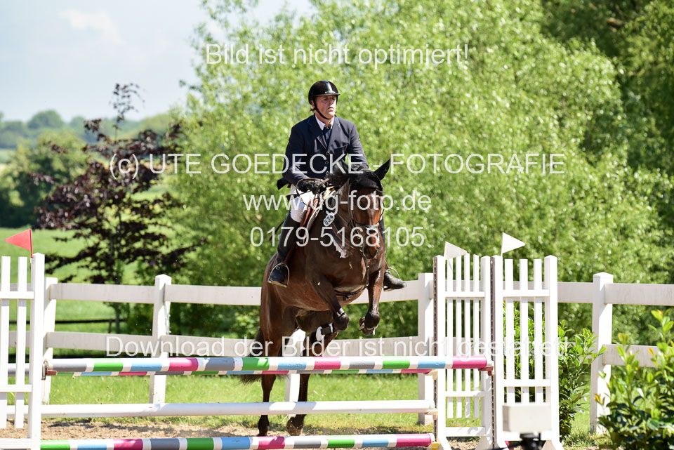 260520---Springpferde-A--_052.jpg