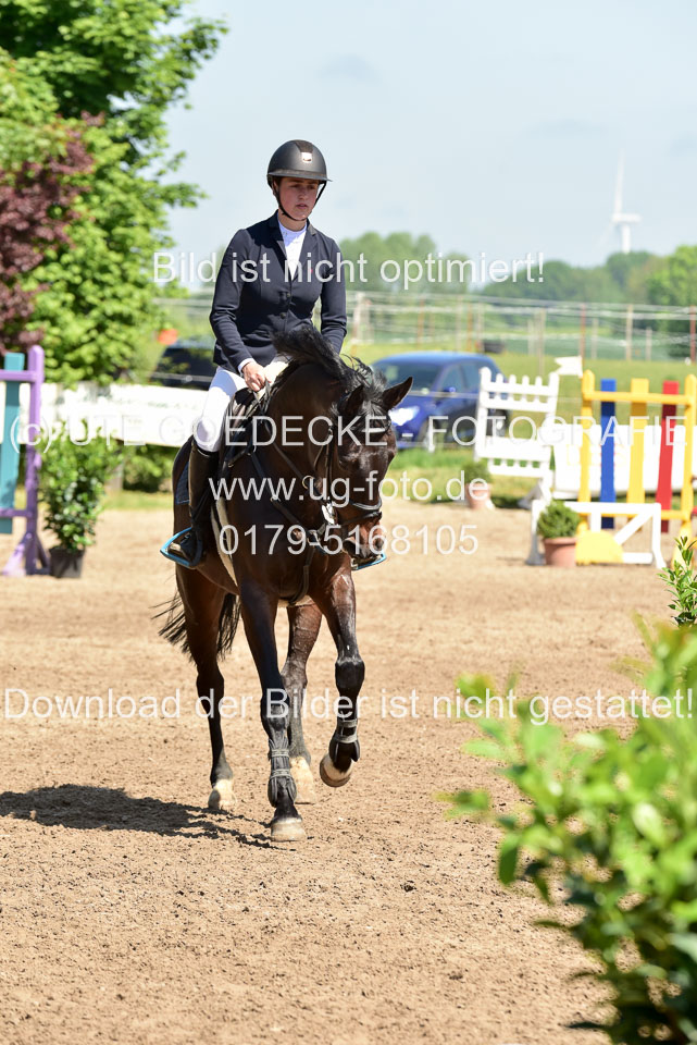 260520---Springpferde-A--_054.jpg