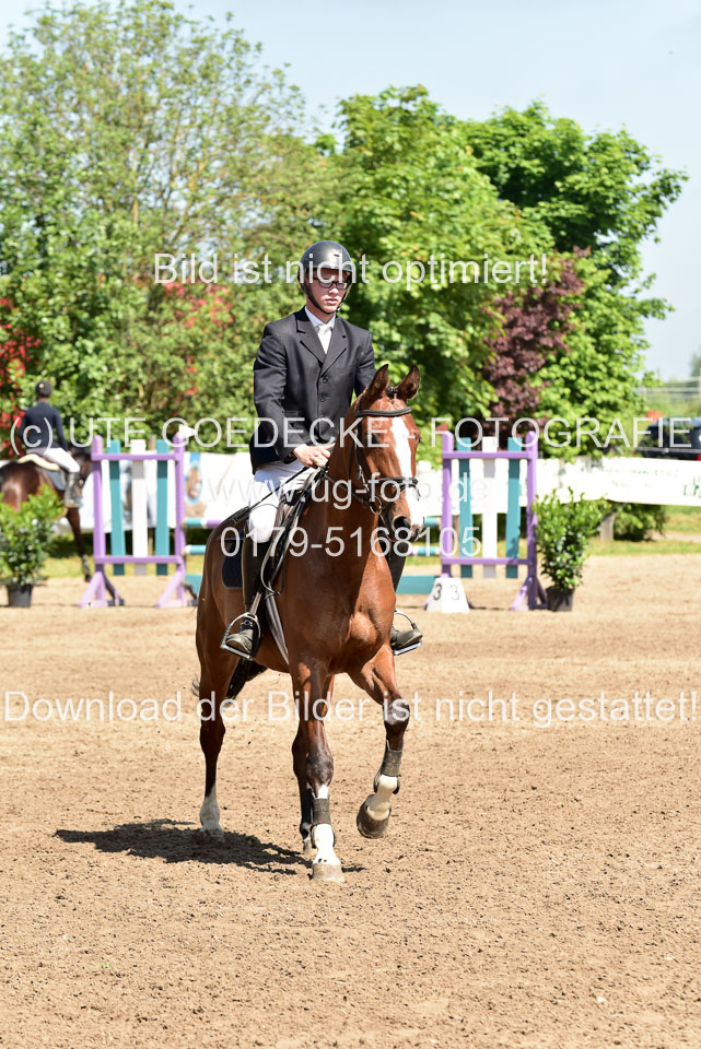 260520---Springpferde-A--_055.jpg