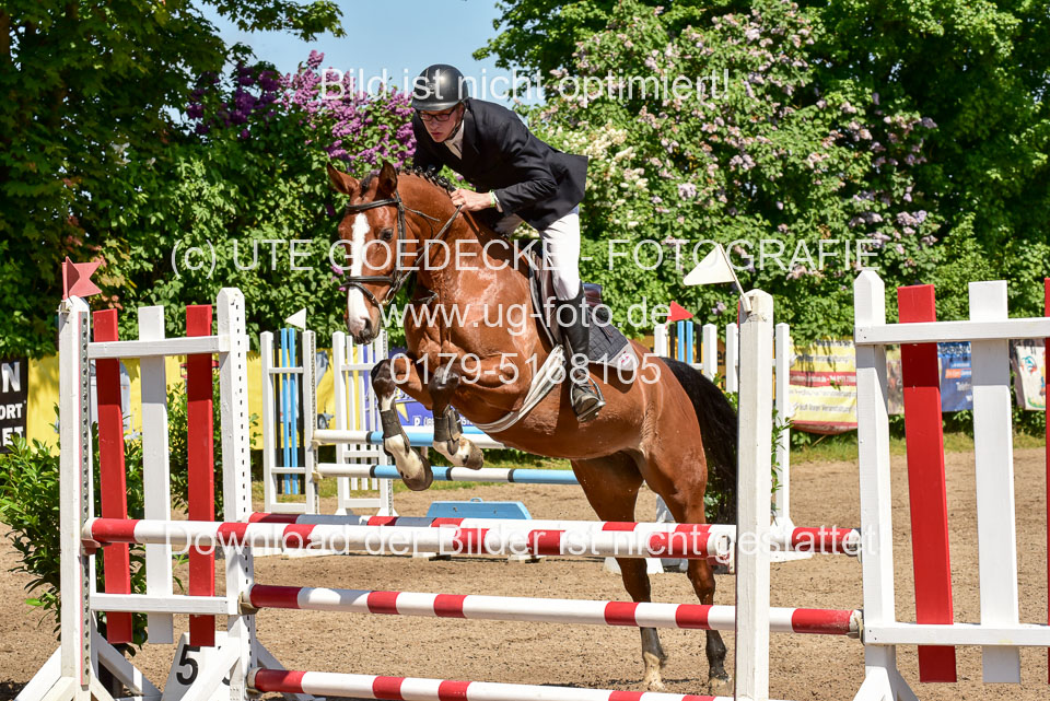 260520---Springpferde-A--_057.jpg
