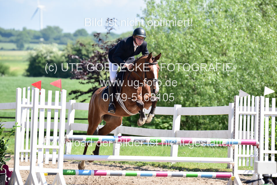 260520---Springpferde-A--_058.jpg