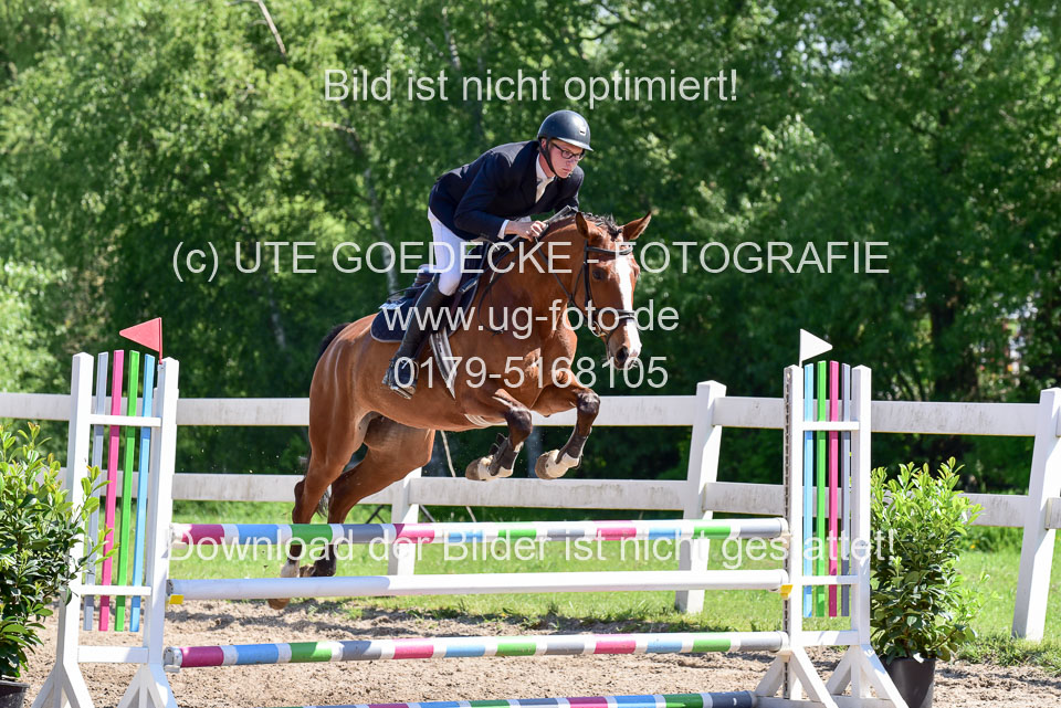 260520---Springpferde-A--_059.jpg