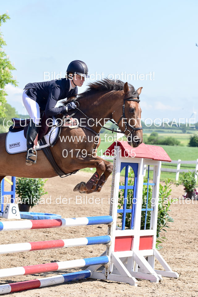 260520---Springpferde-A--_060.jpg