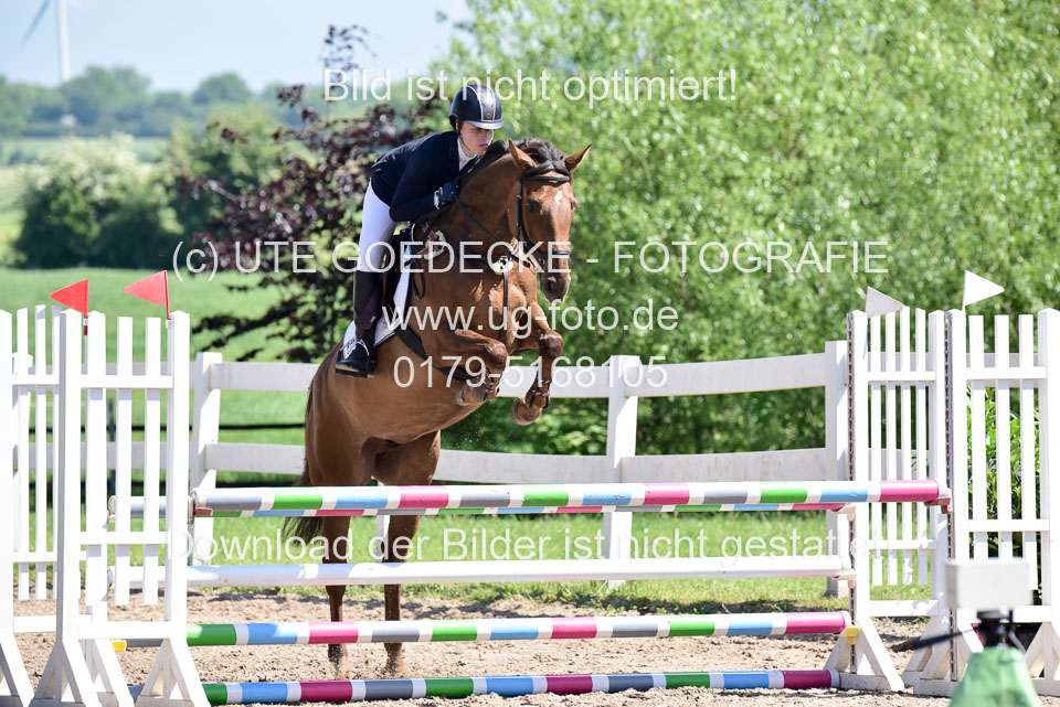 260520---Springpferde-A--_062.jpg