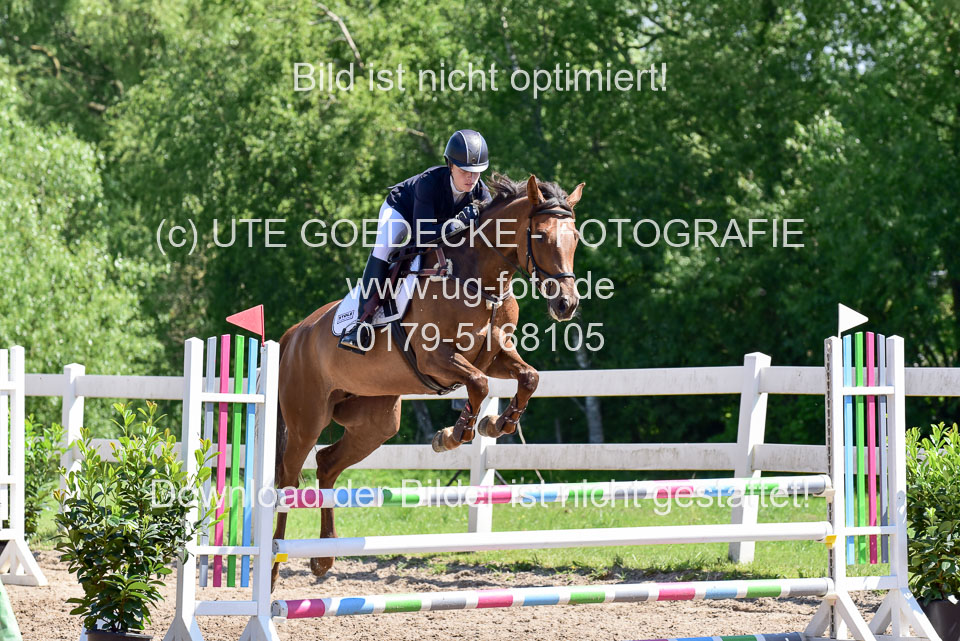 260520---Springpferde-A--_063.jpg