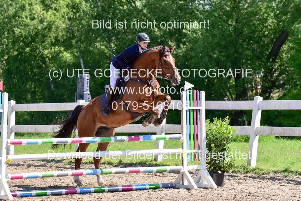 260520---Springpferde-A--_065.jpg