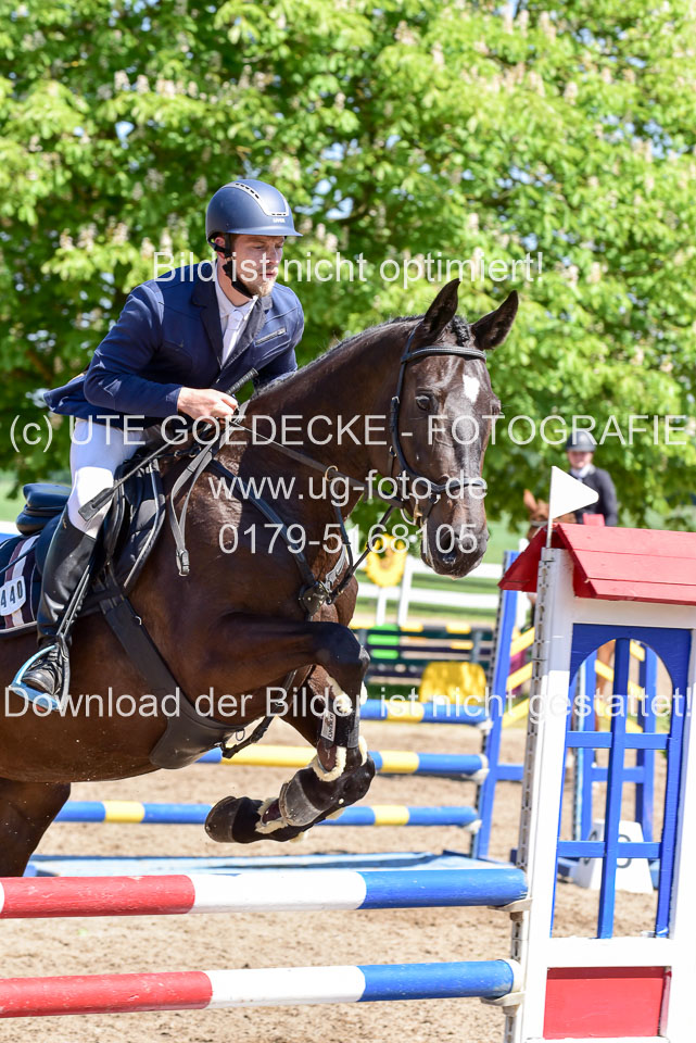 260520---Springpferde-A--_066.jpg