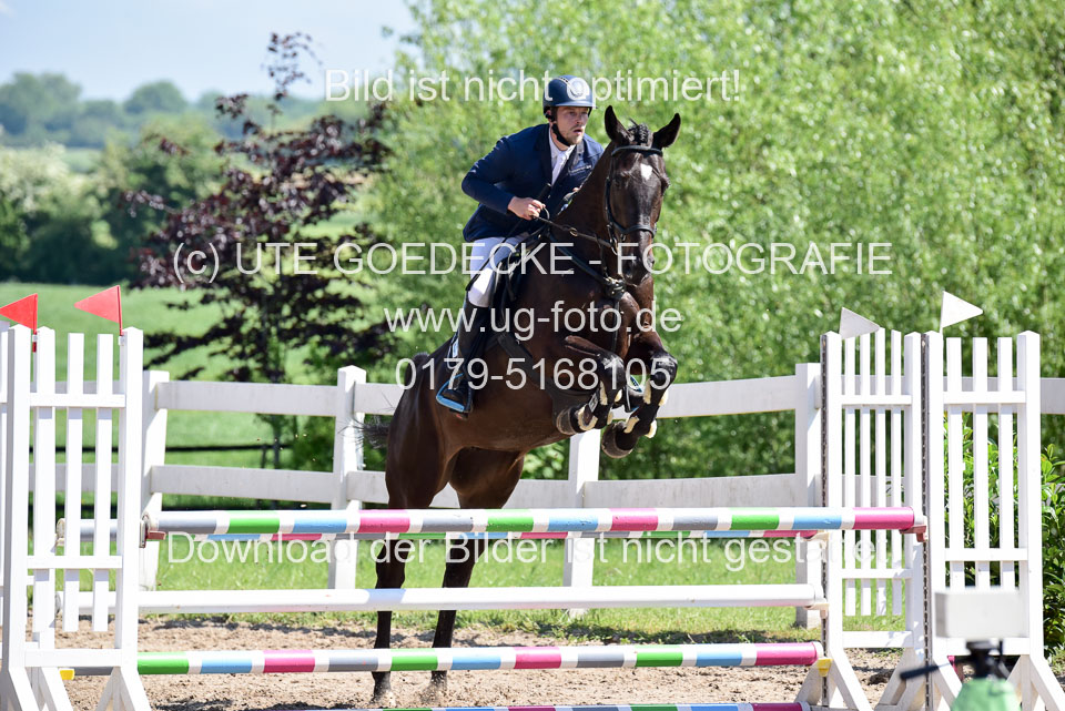 260520---Springpferde-A--_067.jpg