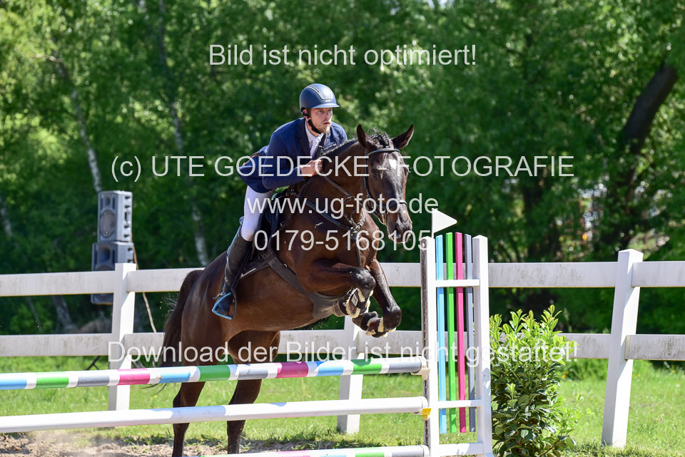260520---Springpferde-A--_068.jpg