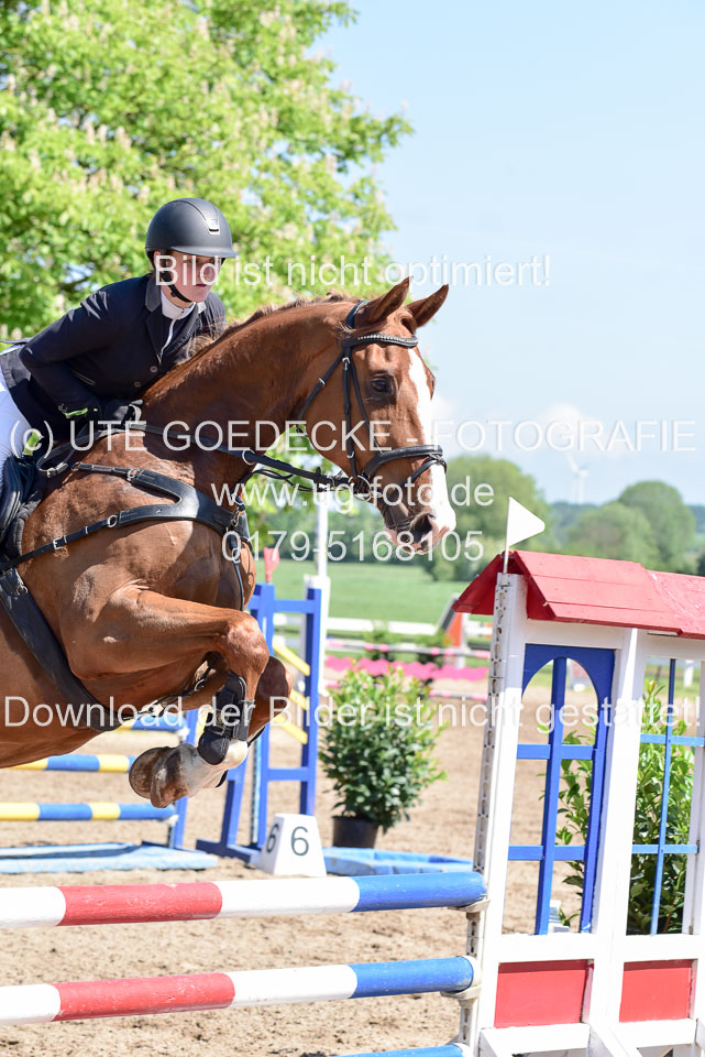 260520---Springpferde-A--_069.jpg