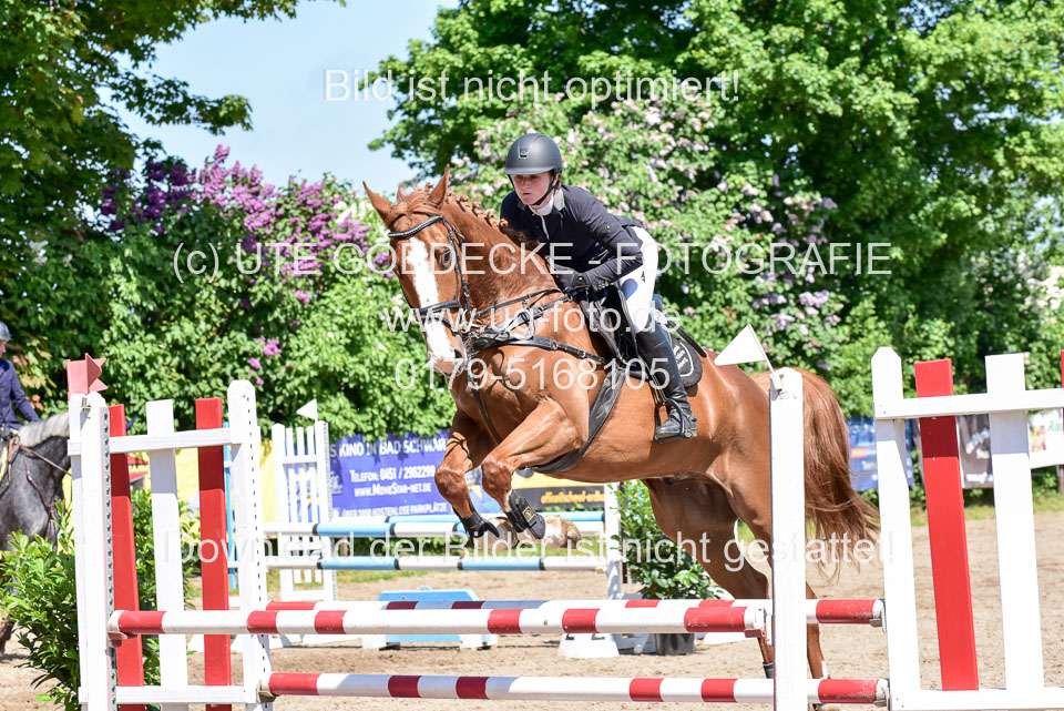 260520---Springpferde-A--_070.jpg