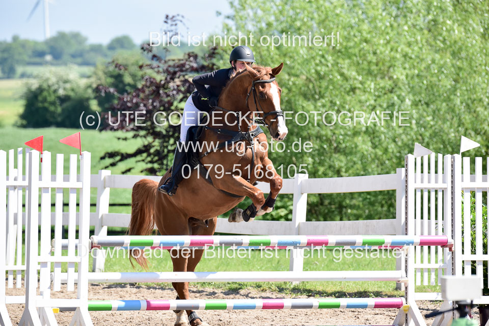 260520---Springpferde-A--_071.jpg