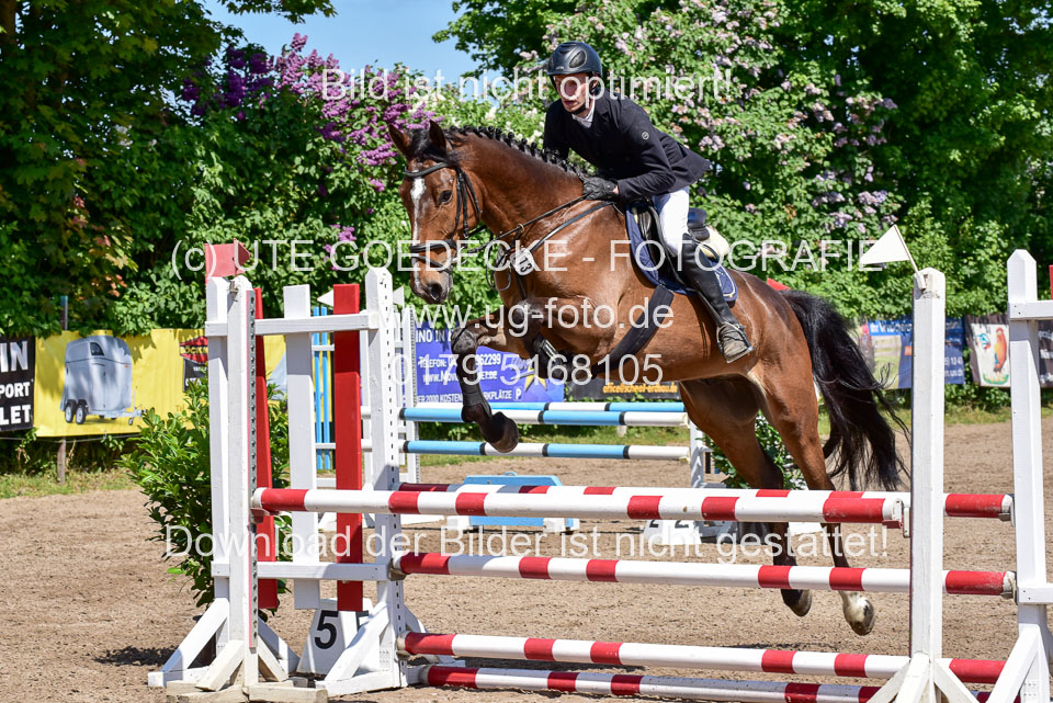 260520---Springpferde-A--_072.jpg