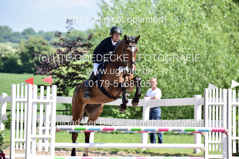 260520---Springpferde-A--_073.jpg