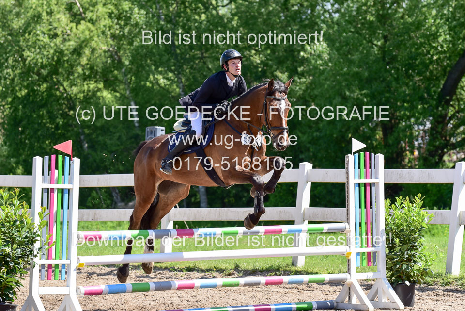 260520---Springpferde-A--_074.jpg