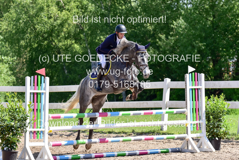 260520---Springpferde-A--_076.jpg