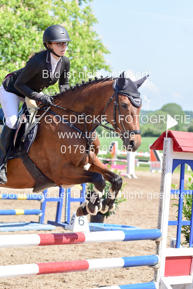 260520---Springpferde-A--_077.jpg