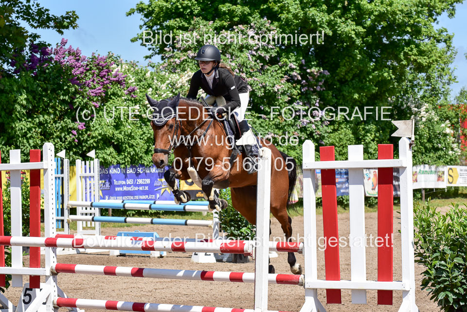 260520---Springpferde-A--_078.jpg