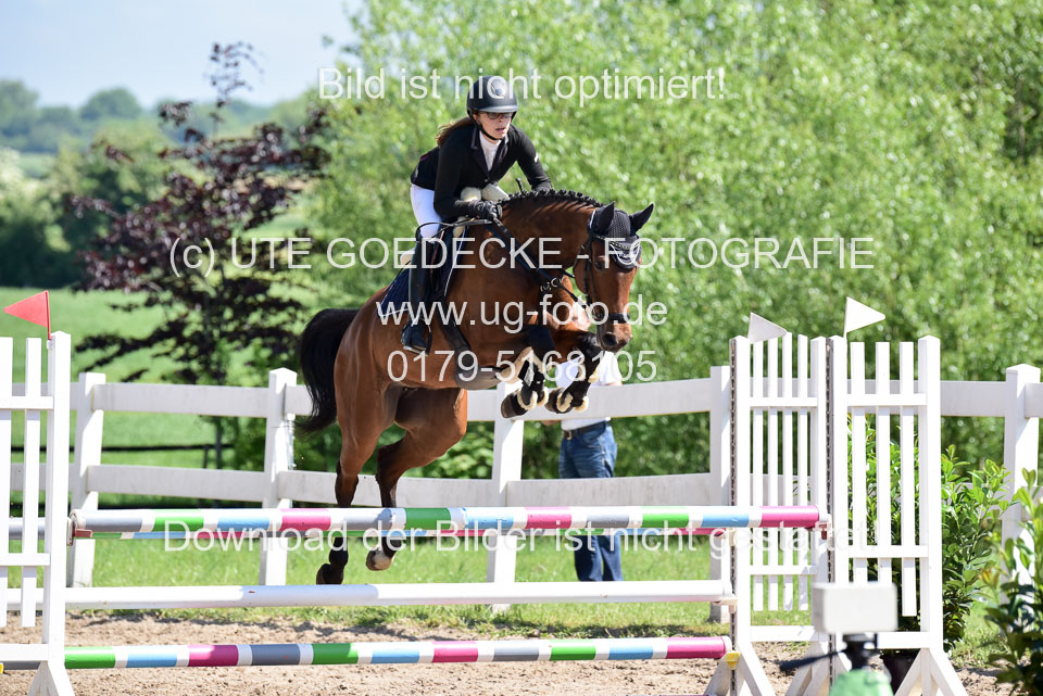260520---Springpferde-A--_080.jpg