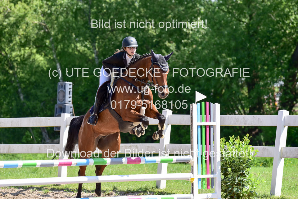 260520---Springpferde-A--_081.jpg