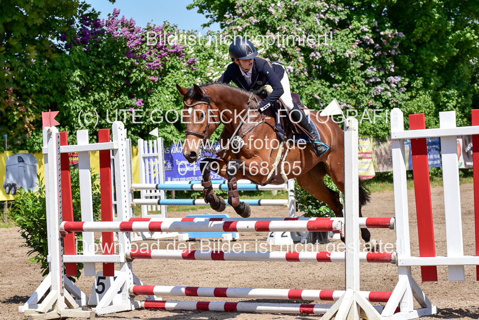 260520---Springpferde-A--_082.jpg