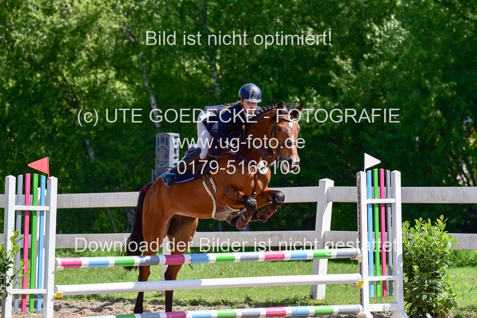 260520---Springpferde-A--_083.jpg