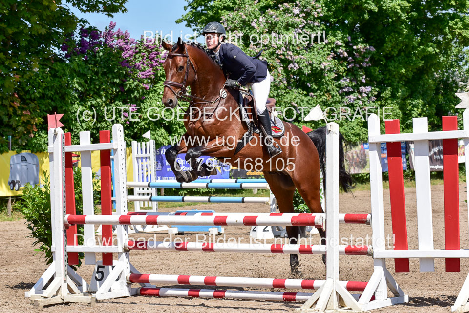 260520---Springpferde-A--_084.jpg