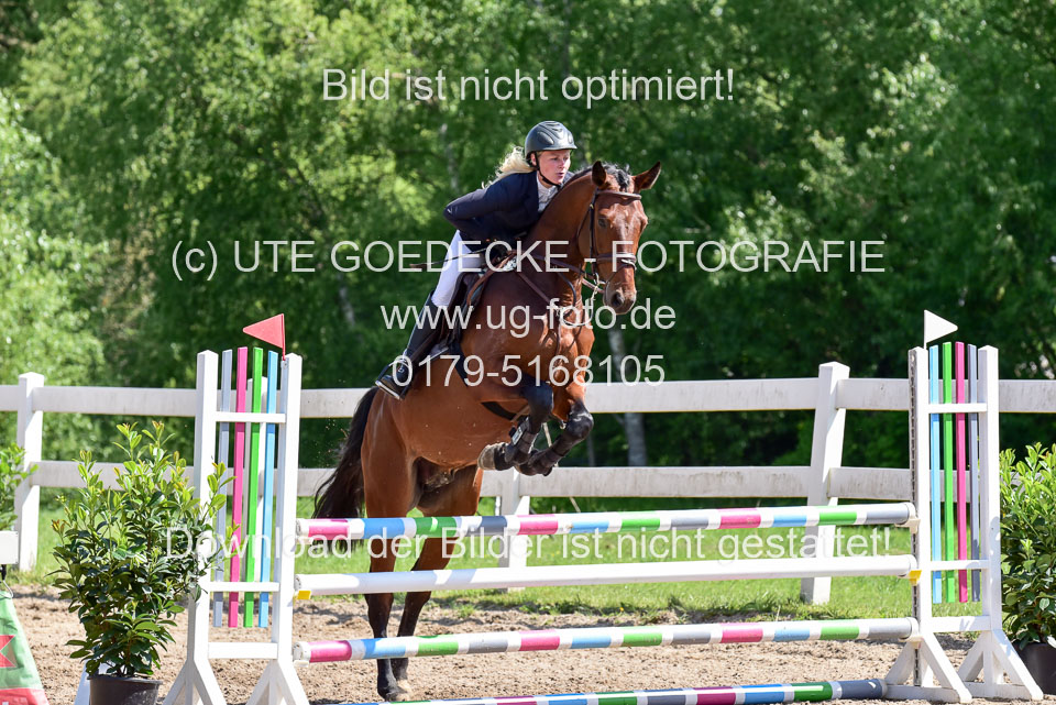 260520---Springpferde-A--_086.jpg