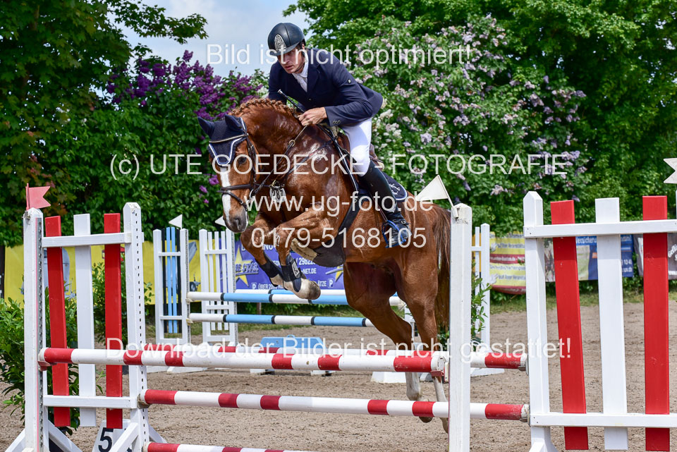 260520---Springpferde-A--_090.jpg