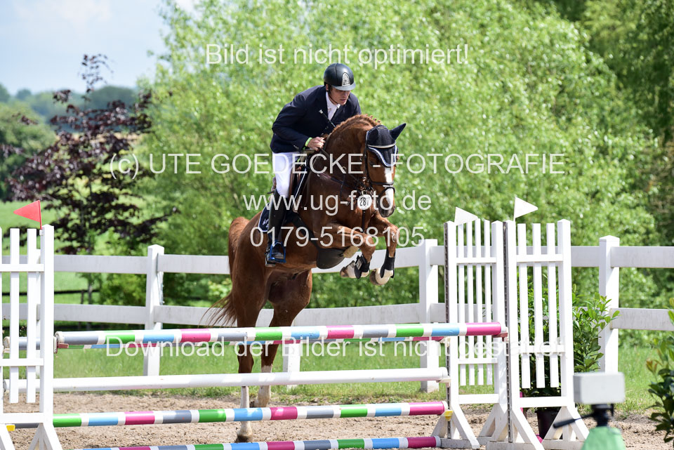 260520---Springpferde-A--_091.jpg