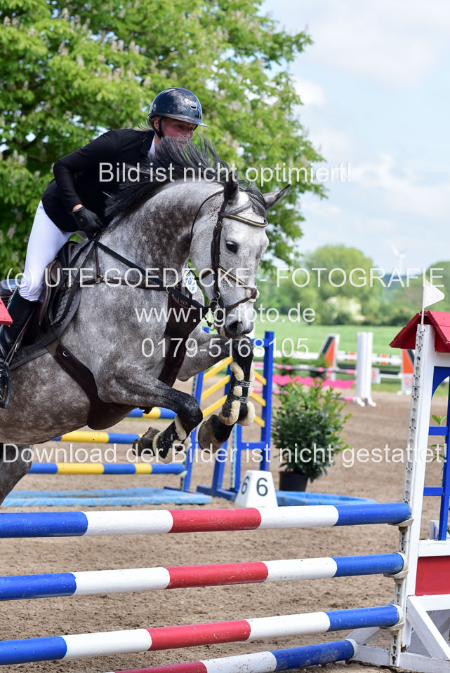 260520---Springpferde-A--_092.jpg