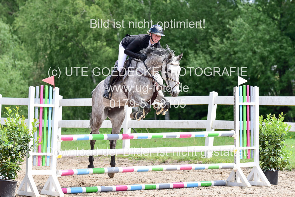 260520---Springpferde-A--_094.jpg