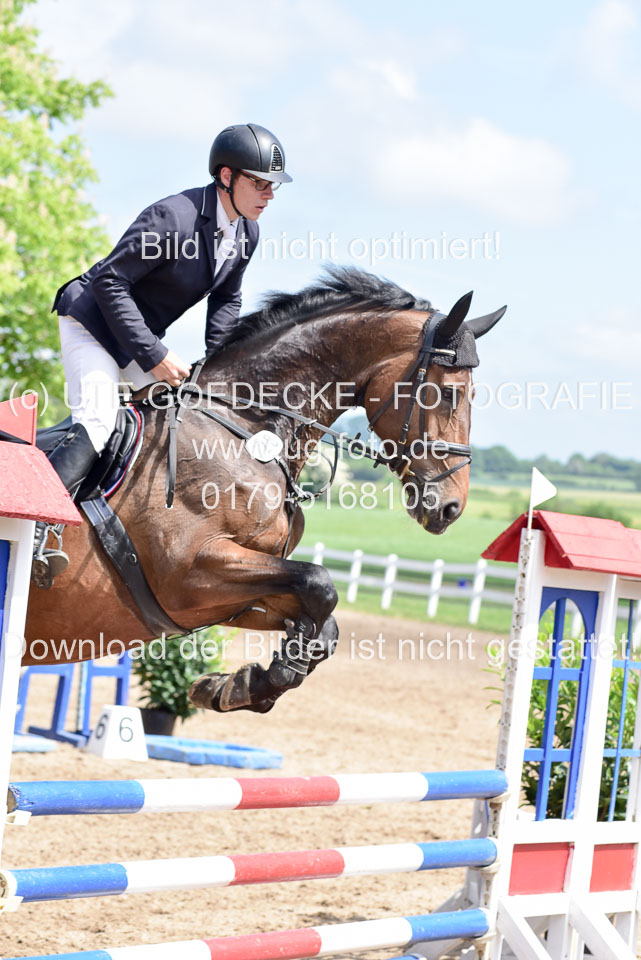 260520---Springpferde-A--_095.jpg