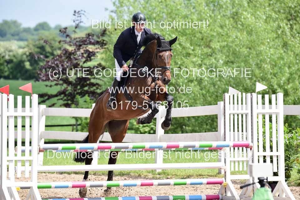 260520---Springpferde-A--_096.jpg
